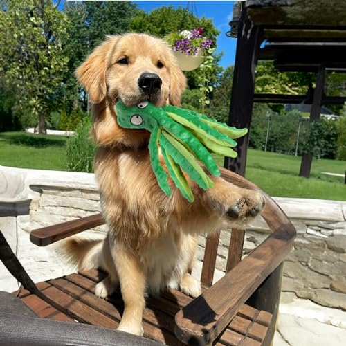 2 Pack Squeaky Octopus Plush Dog Toys No Stuffing Crinkle Pet Toys (Green + Orange) P590633