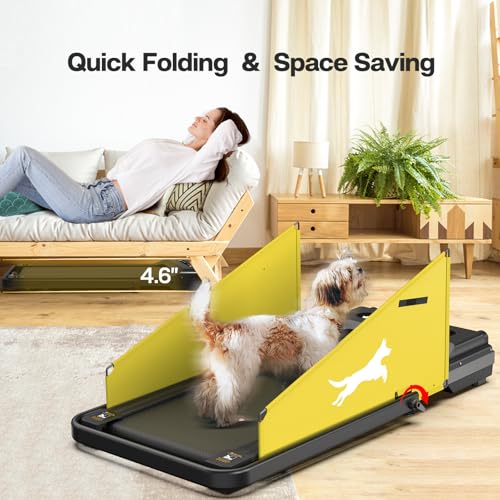 Dog Treadmill with LCD Display E868