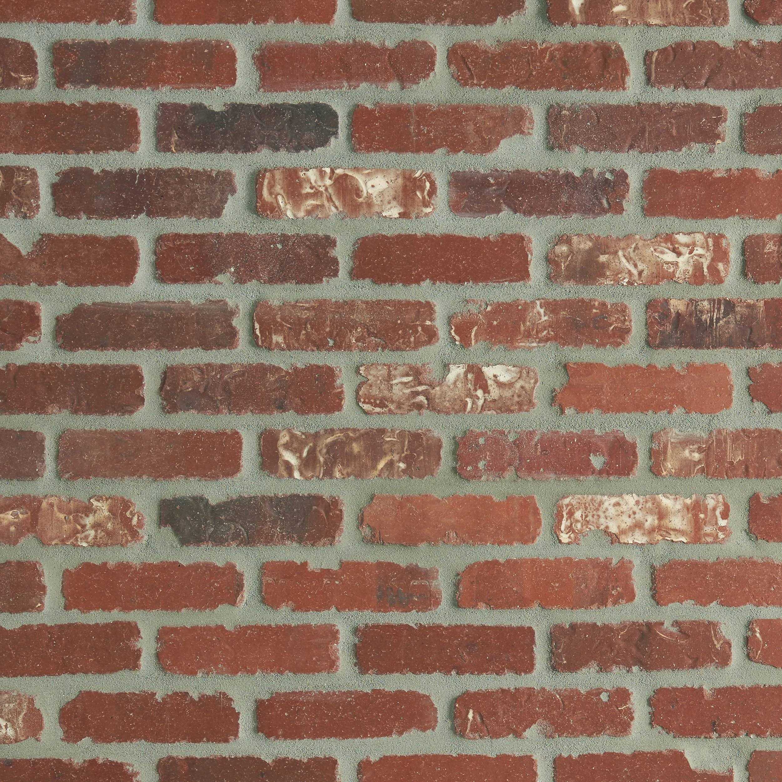 Thin Brick Panel 10 x 28 S313