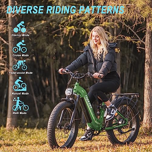 Electric Bike 1600W 48V 20 AH 26'' Fat Tire Full Suspension T455