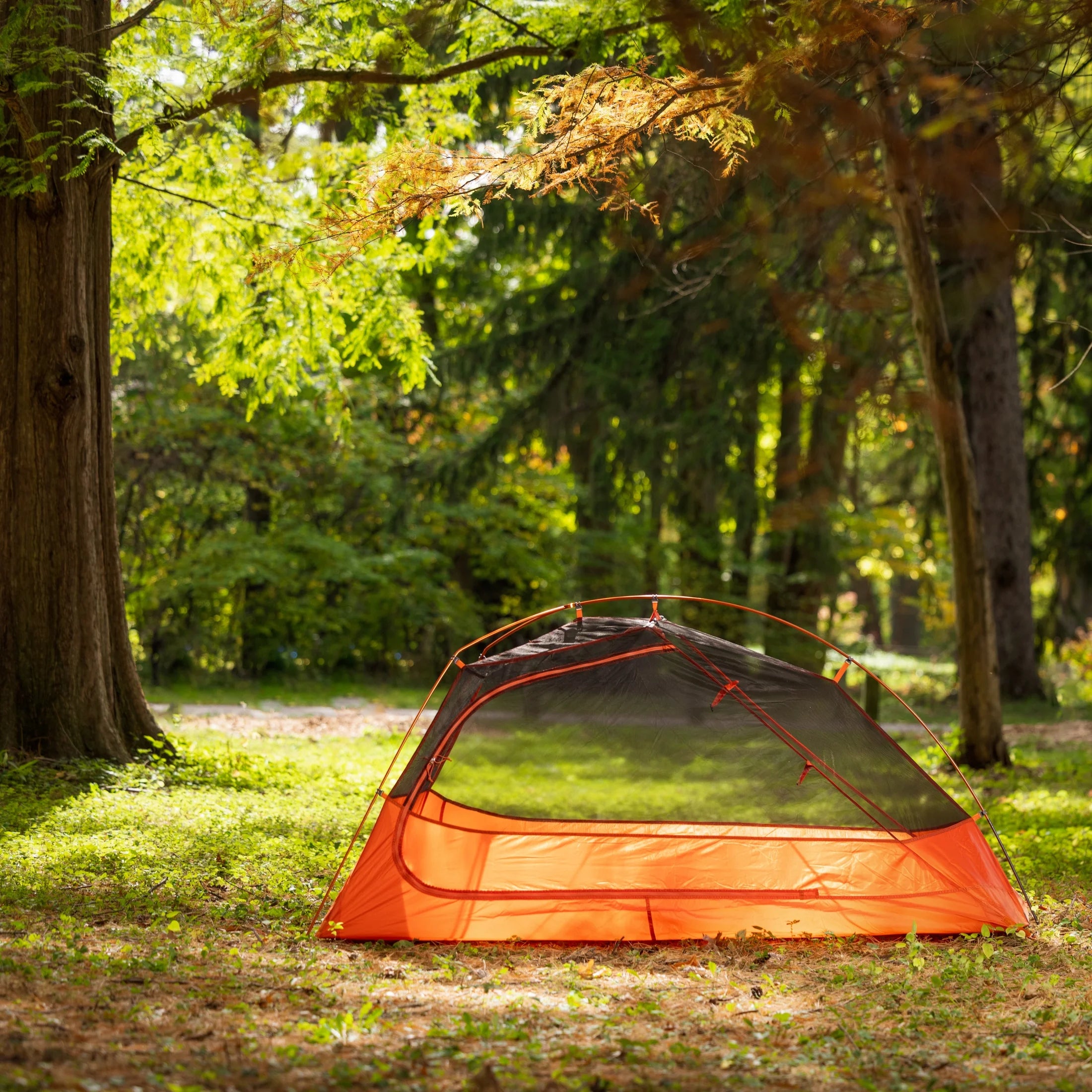 1-Person Lightweight Backpacking Tent, Orange N77958