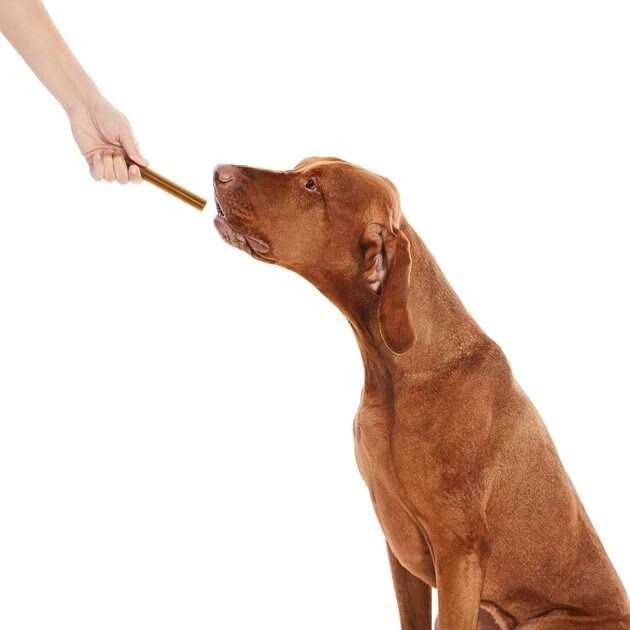 All-Natural Dental Chew Sticks U154