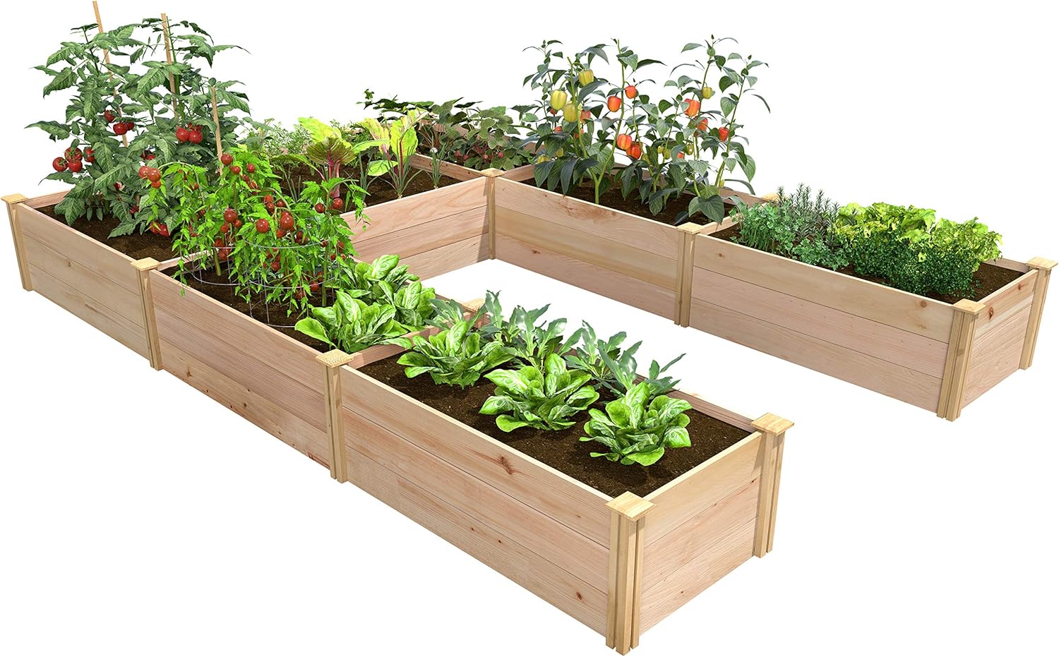 Cedar Raised Garden Bed, 8' x 12' x 16.5" U-Shaped Bed Q672