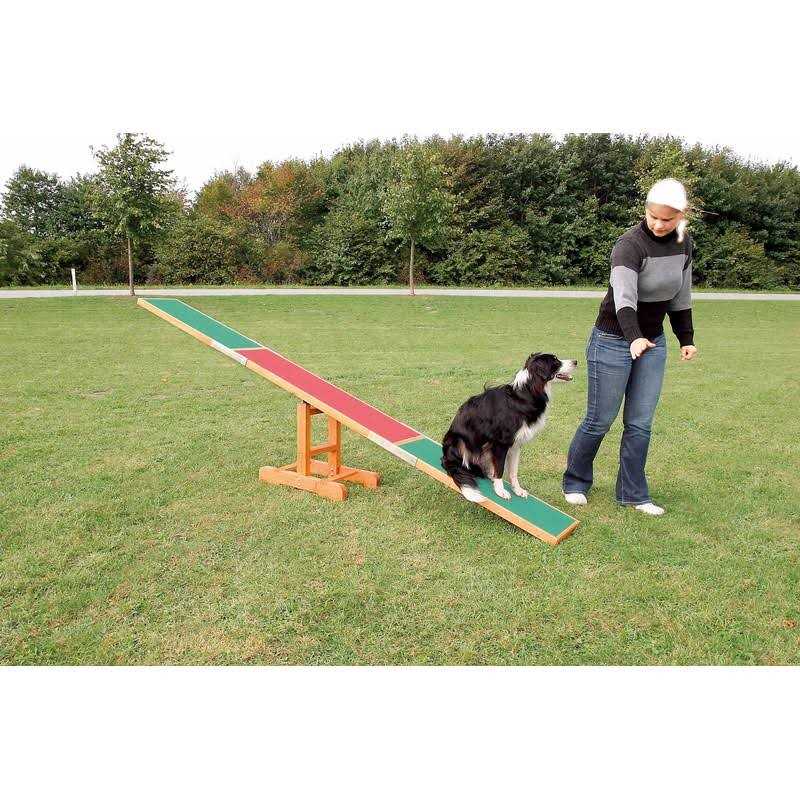 Agility Dog Training Seesaw V1274