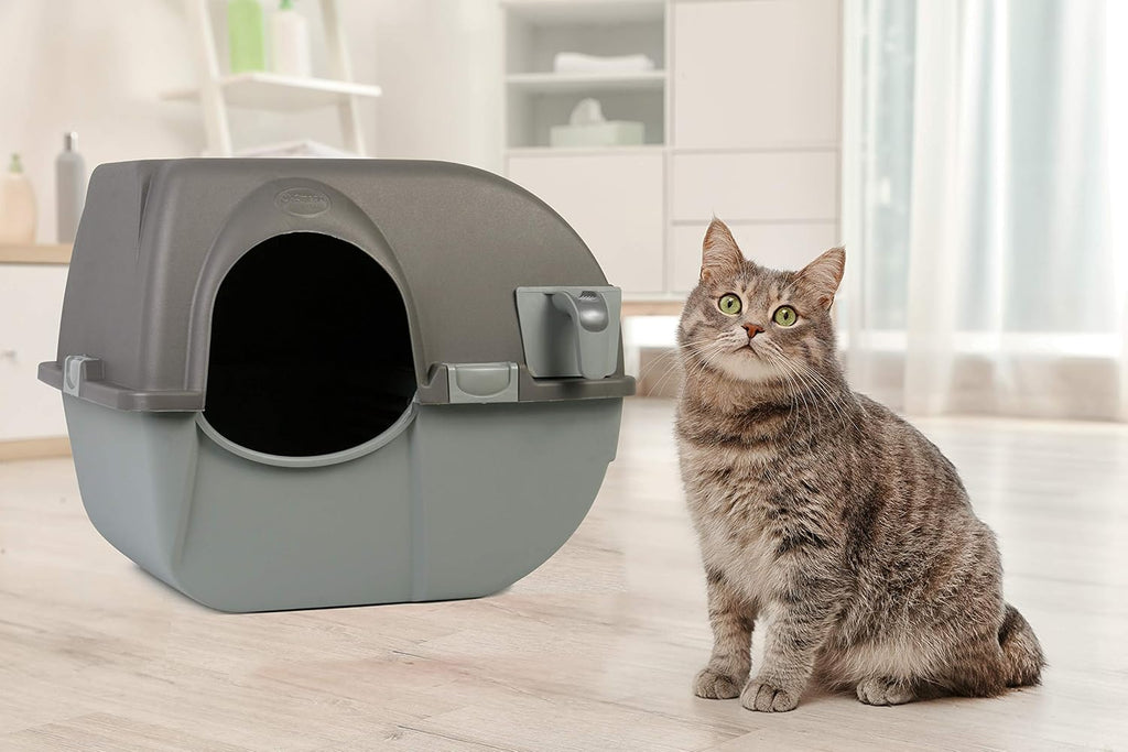 Self-Cleaning Litter Box, Regular, Taupe A66392