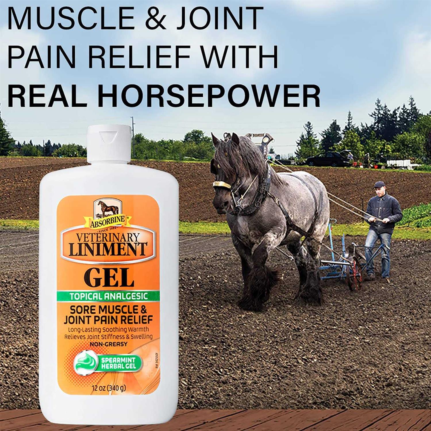 Absorbine Veterinary Liniment Gel D2660