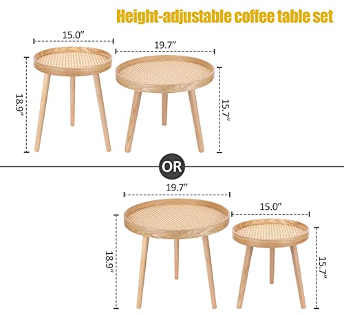 Natural Boho Rattan Coffee Table Set of 2 H7950