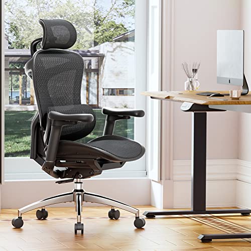 Ergonomic Office Chair with 3D Armrests, Adjustable Backrest, Grey E798