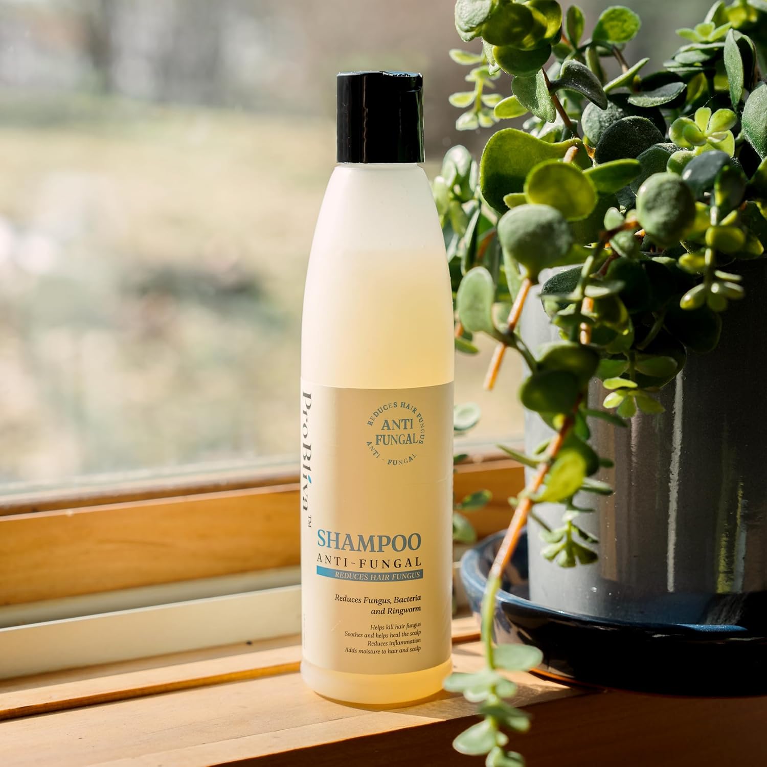 Fungus Shampoo for Hair & Scalp with Coconut Oil, Jojoba Oil, Emu Oil Y509189