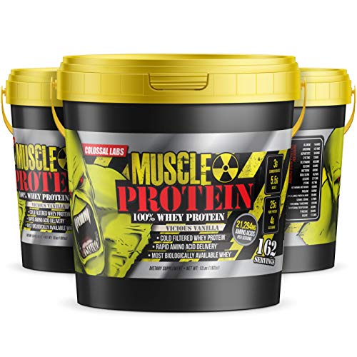 12 lbs Chocolate Whey Protein Powder X76370