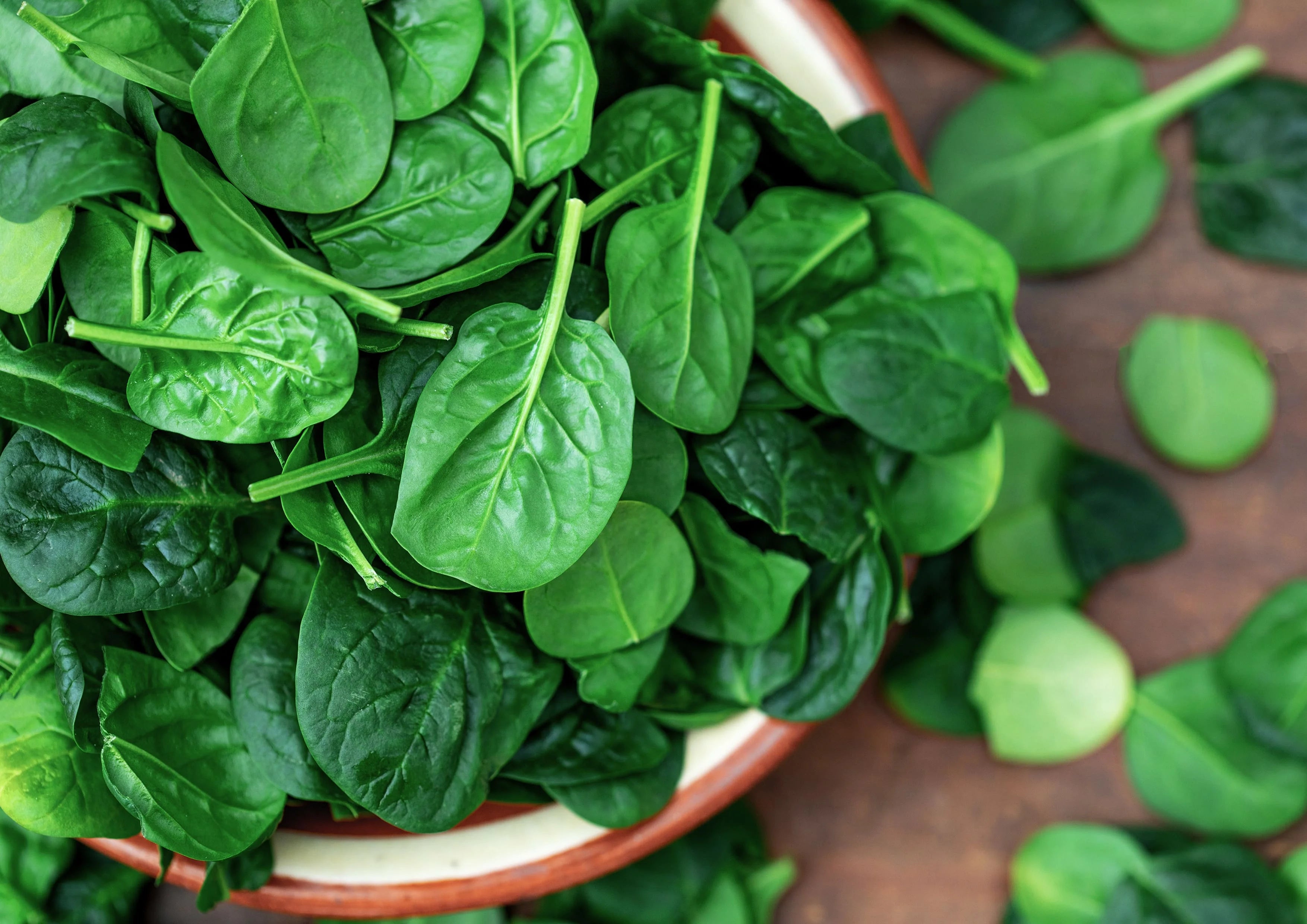 Organic Spinach Powder, 16 Pounds G5404