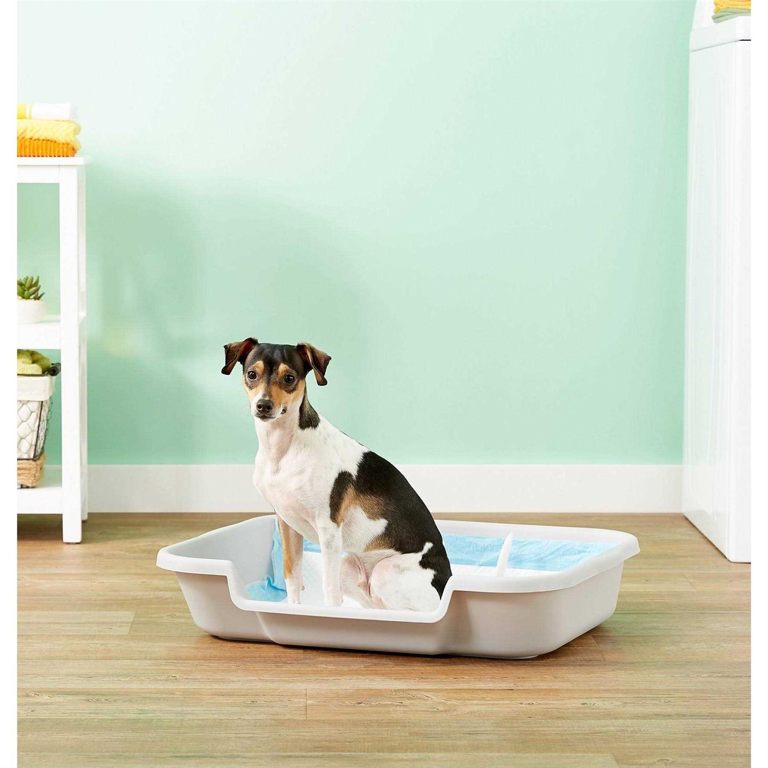 Dog Litter Box O98057