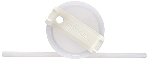 Stainless Steel Vacuum Insulated Tumbler with Lid and Straw O4437