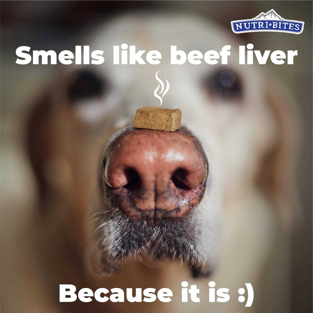 Freeze Dried Beef Liver Dog & Cat Treats Q2001