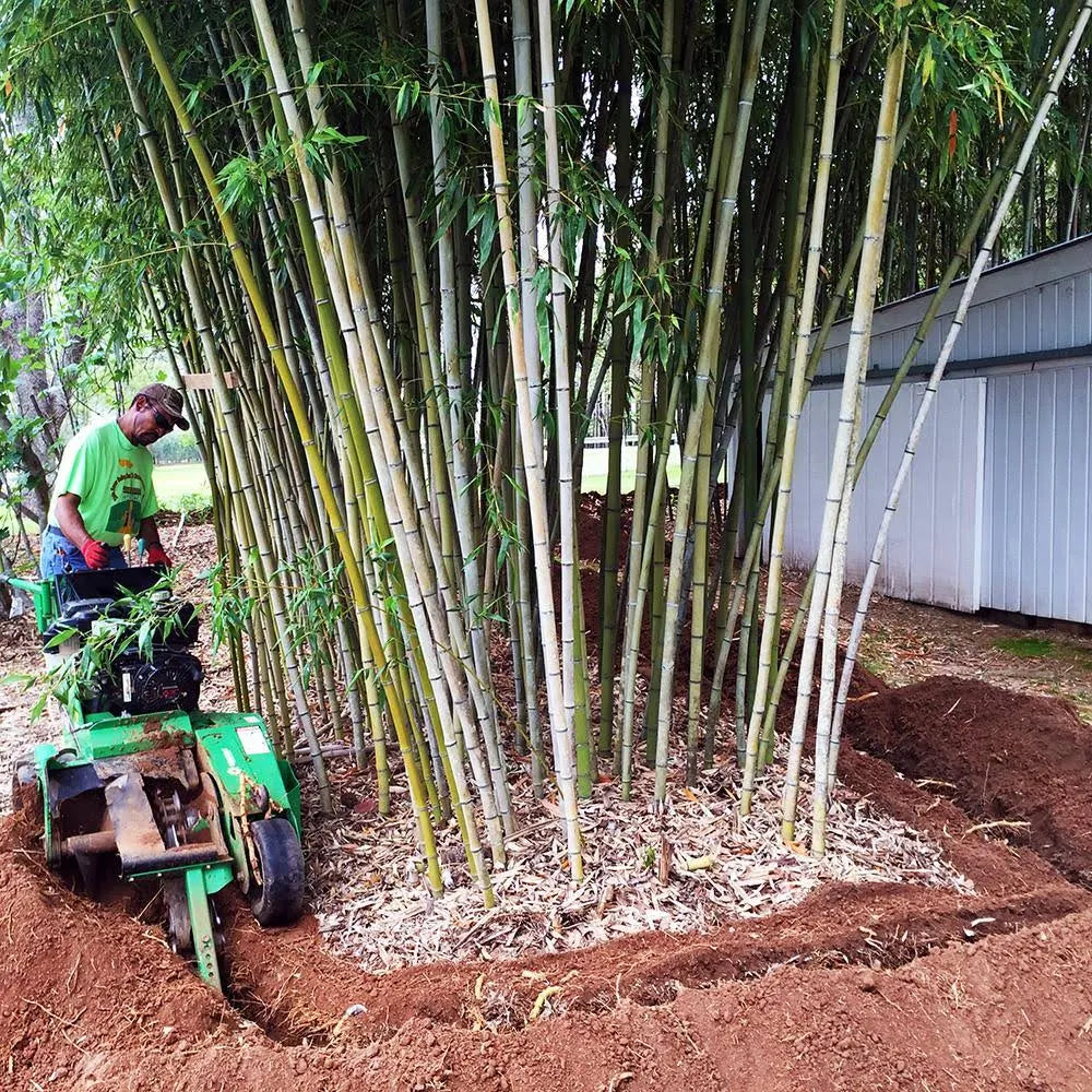 50 Feet Long x 24 inch x 60 Mil Bamboo Root Barrier O67604