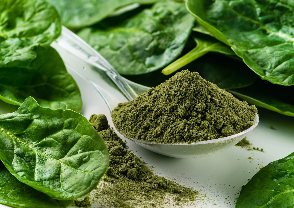 Organic Spinach Powder, 16 Pounds G5404