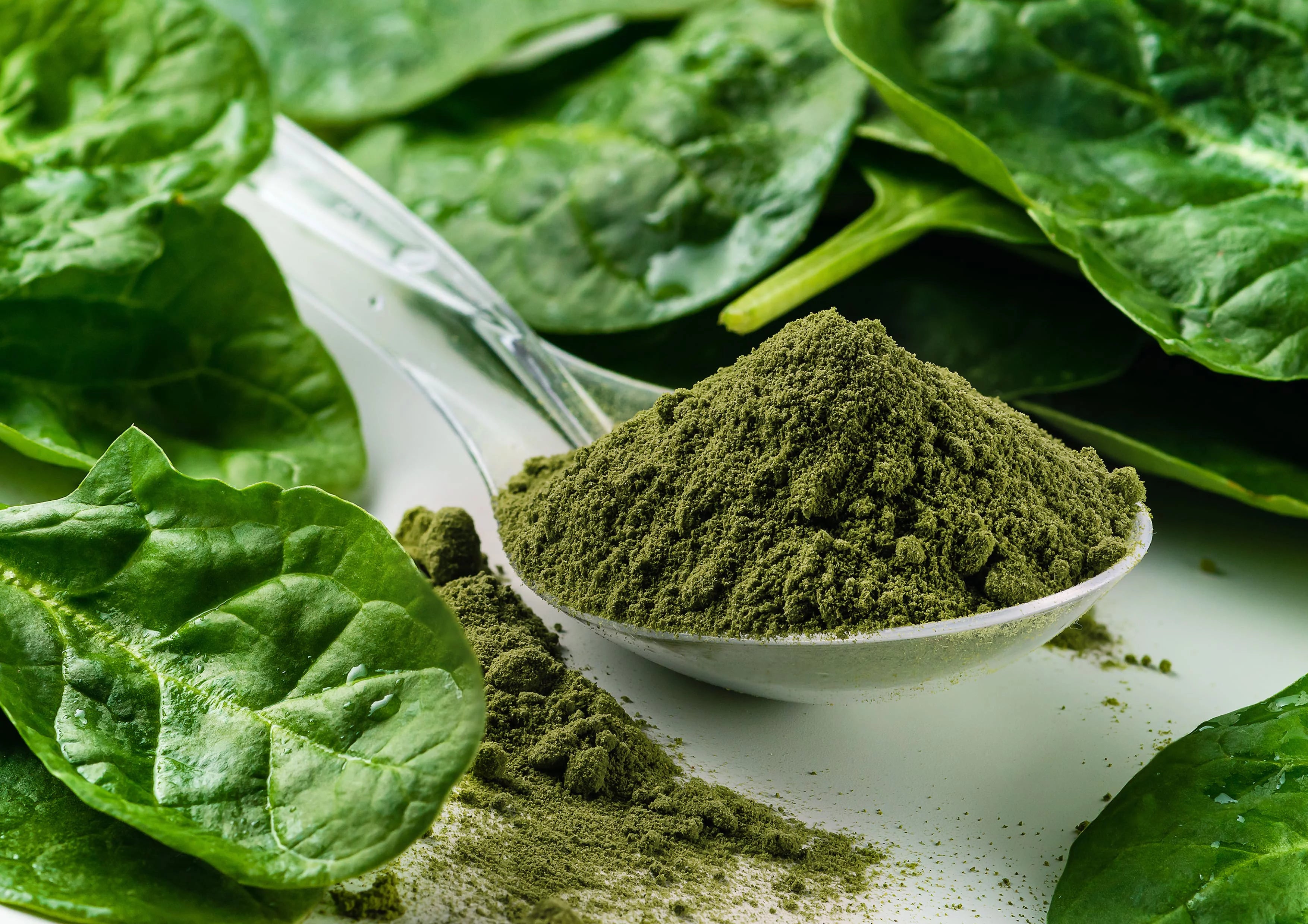 Organic Spinach Powder, 16 Pounds G5404