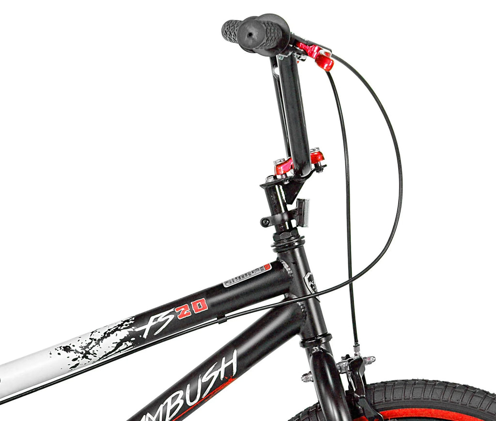 20 In. Black and White BMX Bike P2524