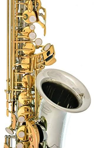 Silver Alto Saxophone with 11 Reeds and Case B565