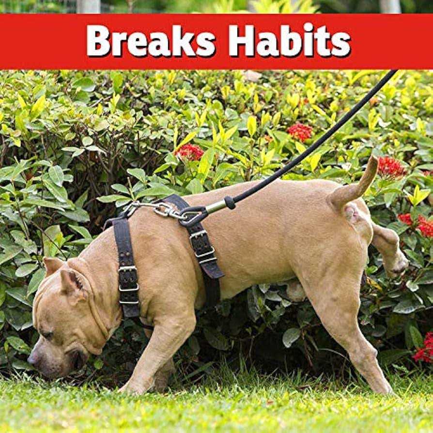 All Natural Dog and Cat Repellent Spray Y231