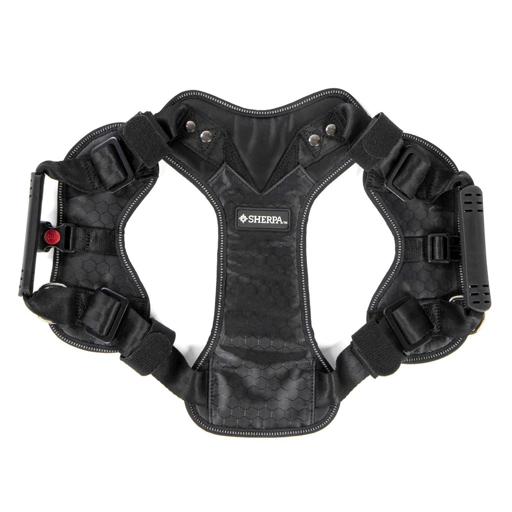 Sherpa Crash Tested Seatbelt Safety Harness H509