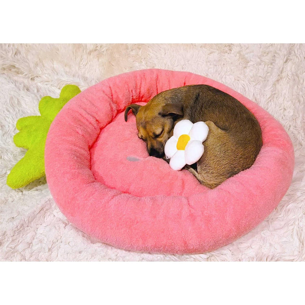 Soft Plush Small Dog Cat Bed Q9020