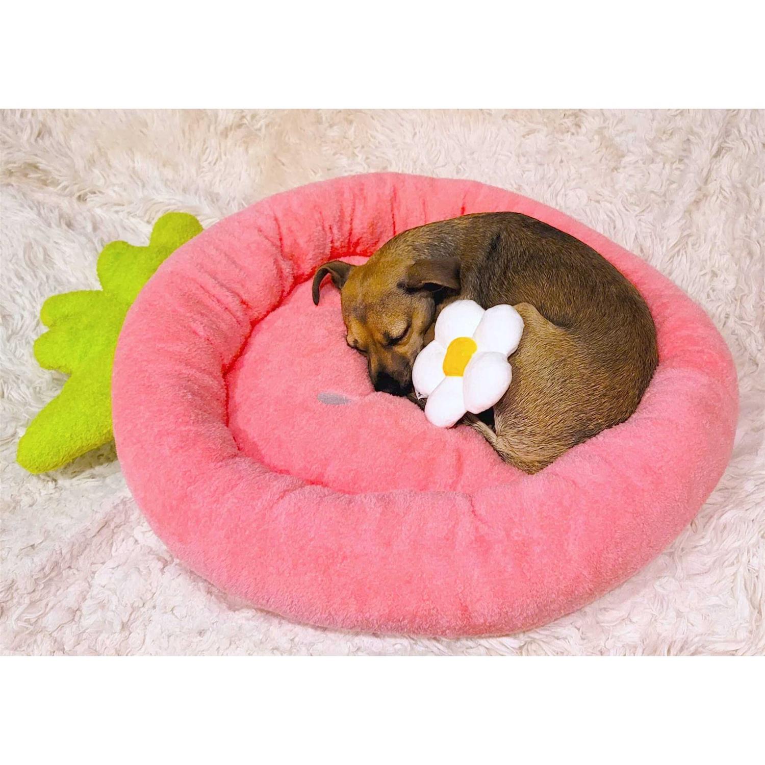 Soft Plush Small Dog Cat Bed Q9020