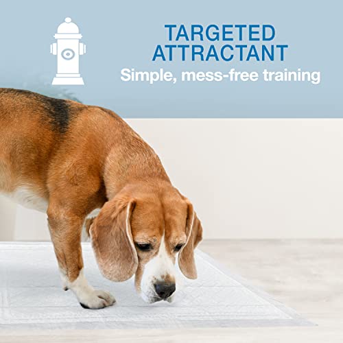 22" x 23" Unscented Quilted Potty Training Pads, 50 Count U52513