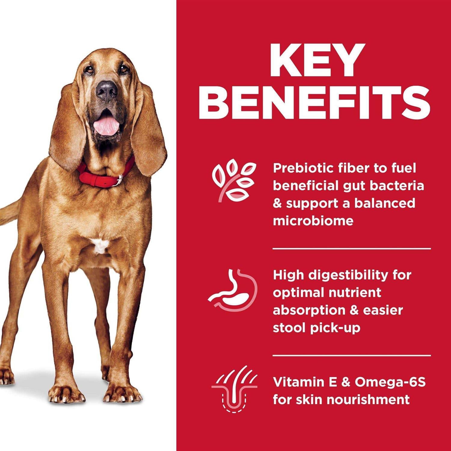 Large Breed Dry Dog Food S529972