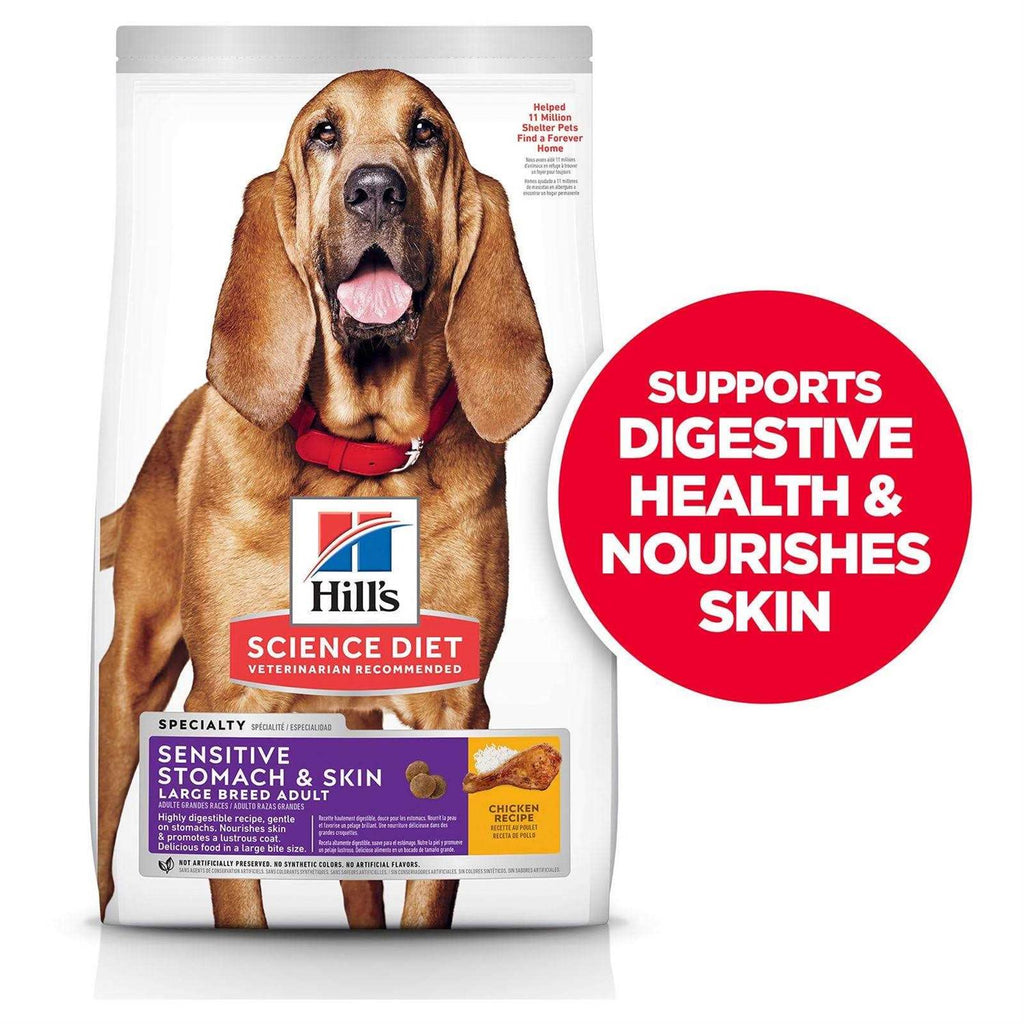 Large Breed Dry Dog Food S529972