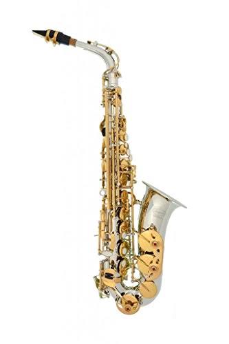 Silver Alto Saxophone with 11 Reeds and Case B565