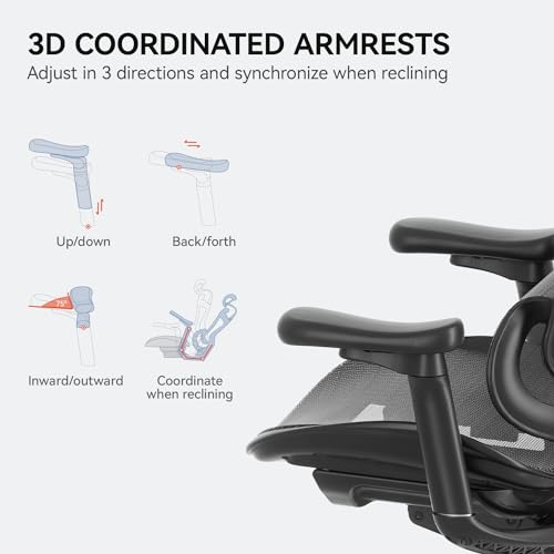 Ergonomic Office Chair with 3D Armrests, Adjustable Backrest, Grey E798