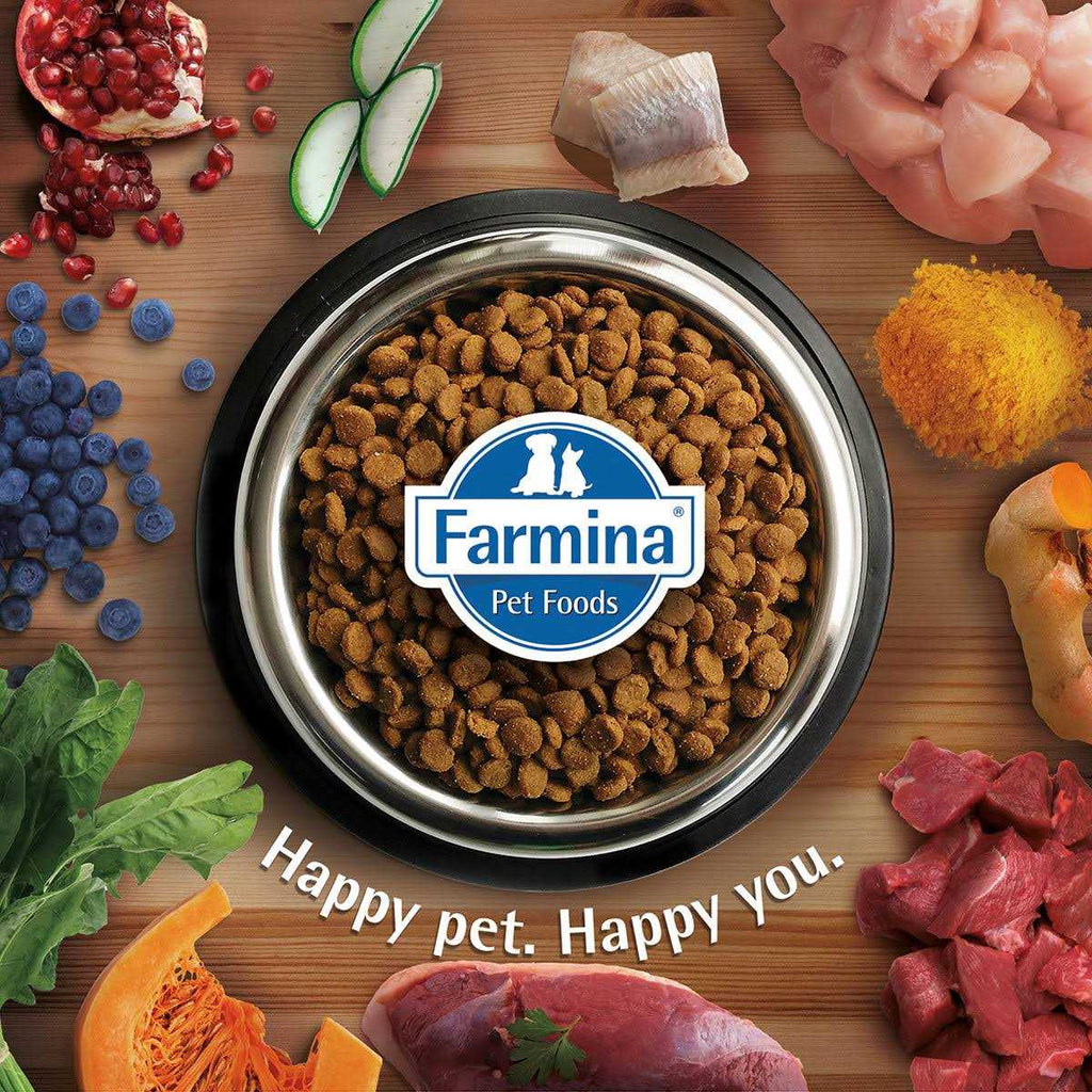 Farmina N&D Quinoa Weight Management Lamb Dry Cat Food Q792068