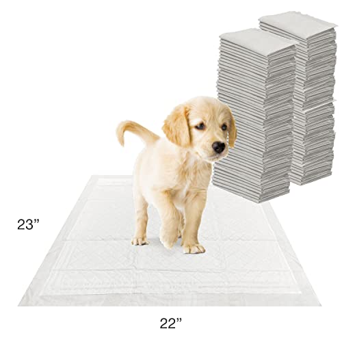 22" x 23" Unscented Quilted Potty Training Pads, 50 Count U52513