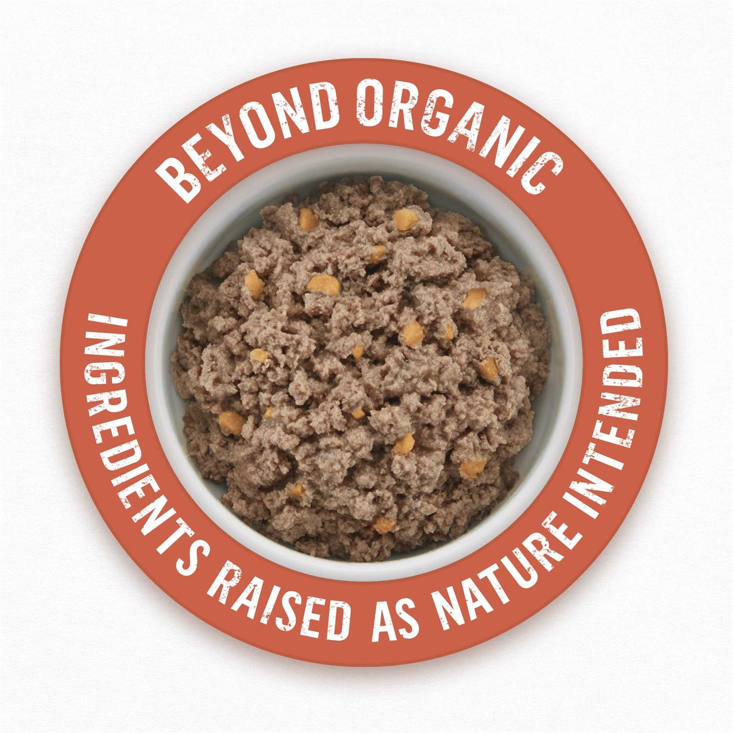 Organic Chicken Recipe Wet Dog Food F5634