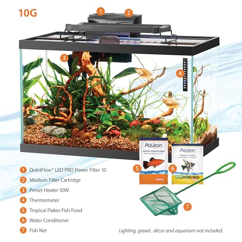 20 Gallon Fish Tank Starter Kit U468