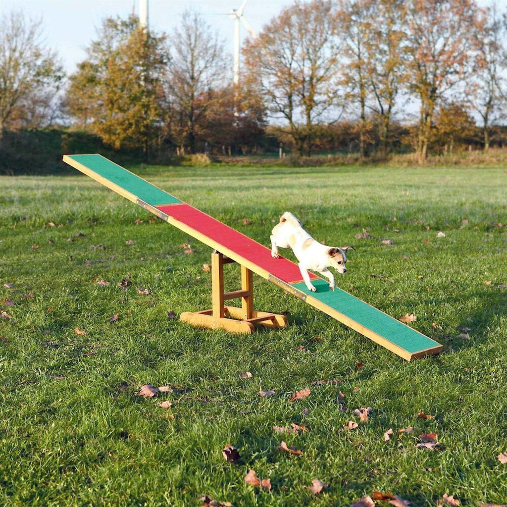Agility Dog Training Seesaw V1274