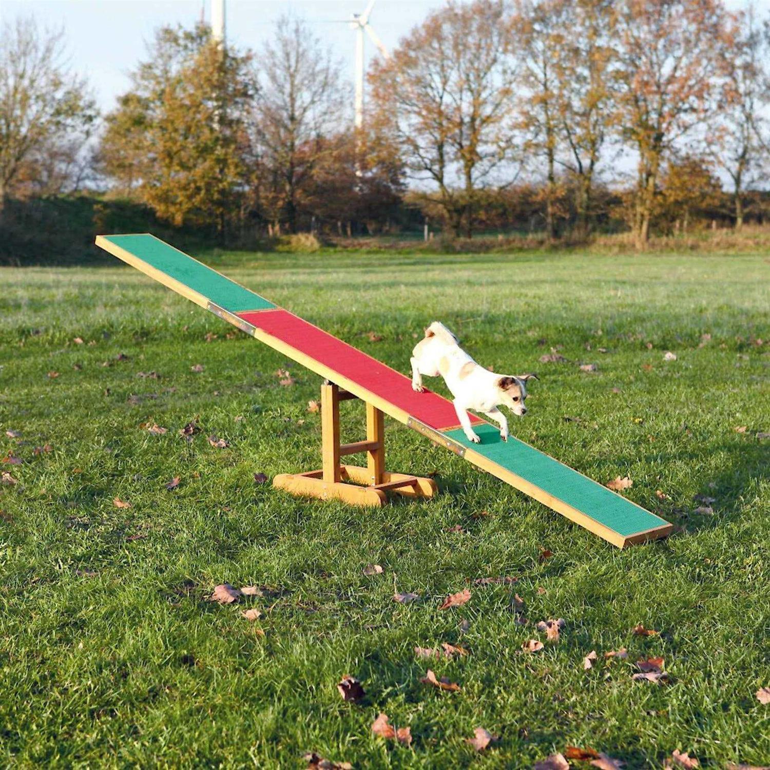 Agility Dog Training Seesaw V1274
