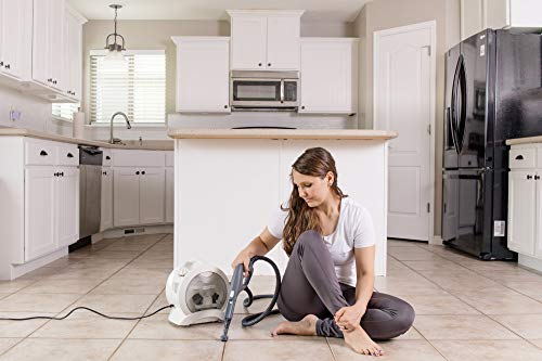 Handheld Steam Cleaner A406515