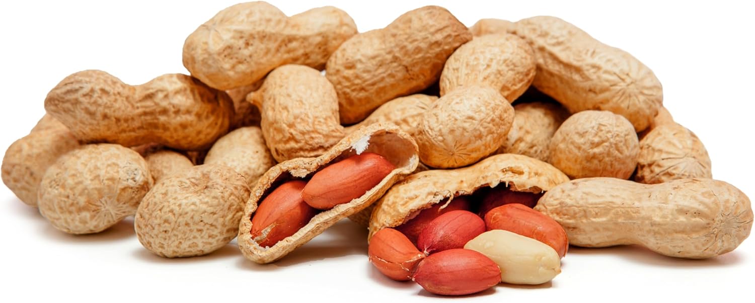 5 lbs Raw Peanuts in Shell I77331