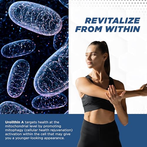 500mg Pure Urolithin A Supplement, 28 Capsules R893028