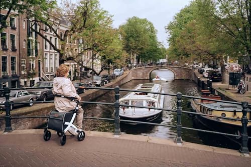 Upright Rollator Walker with seat, Lightweight Folding Walker with Large Shopping Bag R4744