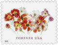 Tulips Postage Forever Stamps F80792