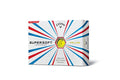 One Dozen Golf Balls Z30296