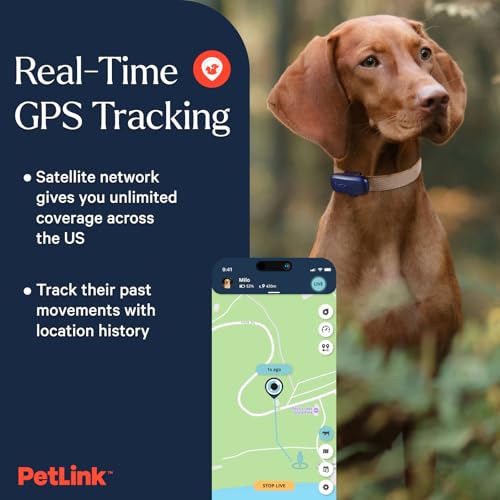 Waterproof Dog GPS Tracker with Virtual Fence A1886