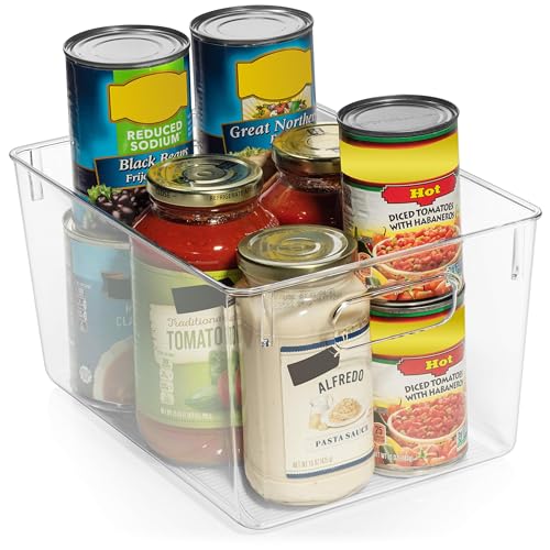 Clear Plastic Storage Bins T4704