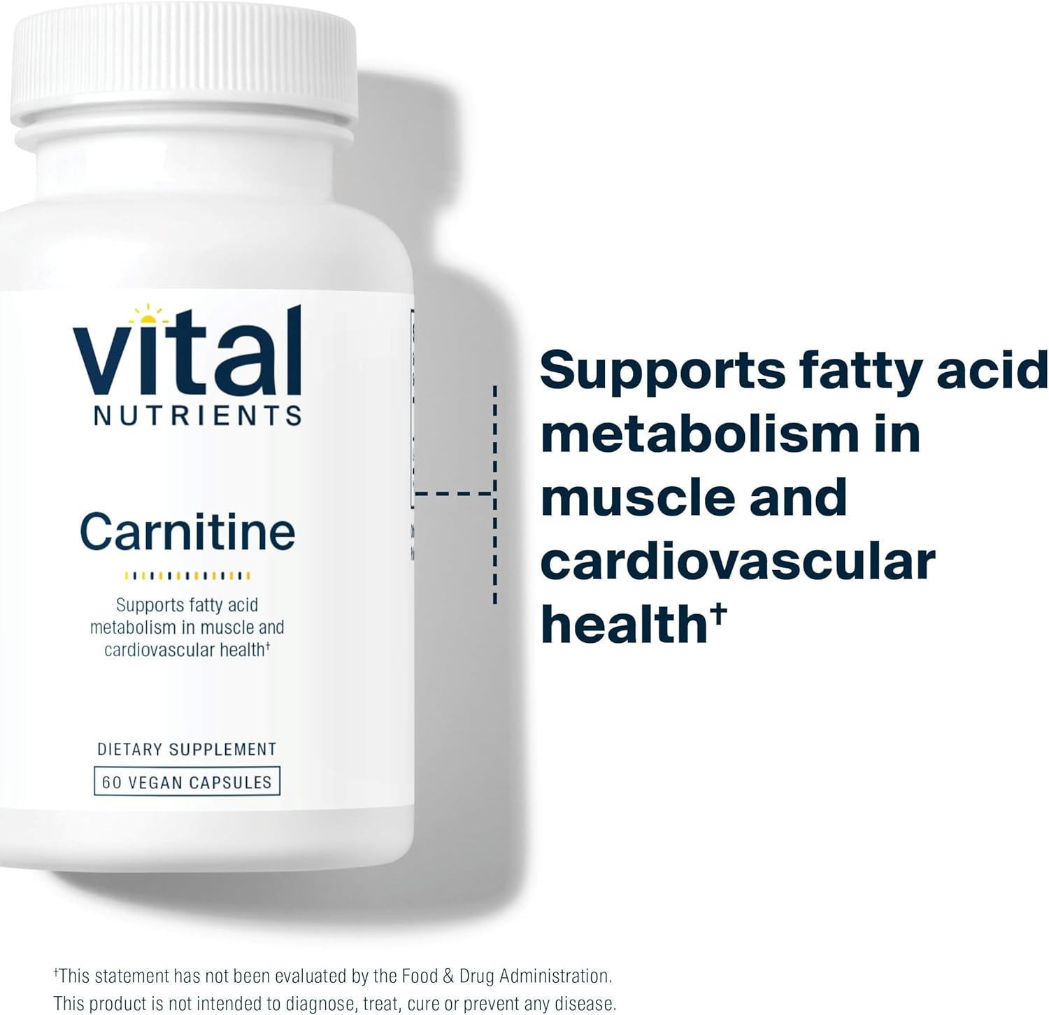 Carnitine 500mg L-Carnitine Supplement 60 Capsules L1952