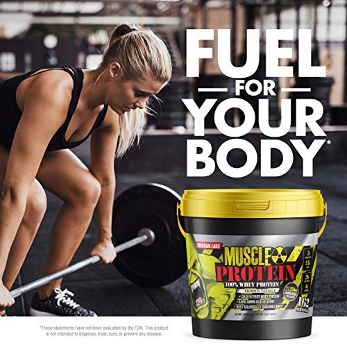 12 lbs Chocolate Whey Protein Powder X76370