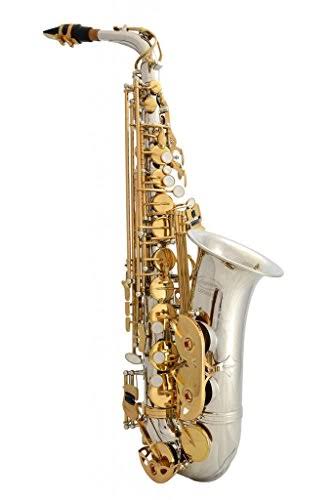 Silver Alto Saxophone with 11 Reeds and Case B565