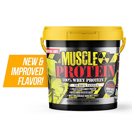 12 lbs Chocolate Whey Protein Powder X76370